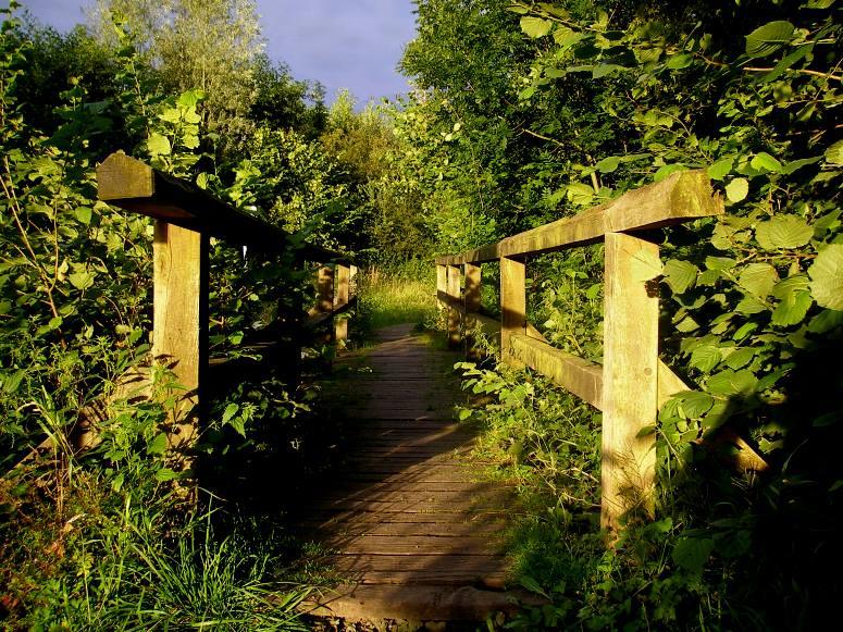 Brücke in die Wildnis im Abendlicht