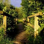 Brücke in die Wildnis im Abendlicht