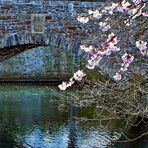Brücke in Essen-Kettwig, März 2008