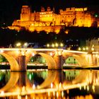 Brücke in Heidelberg / Baden Württemberg / Deutschland