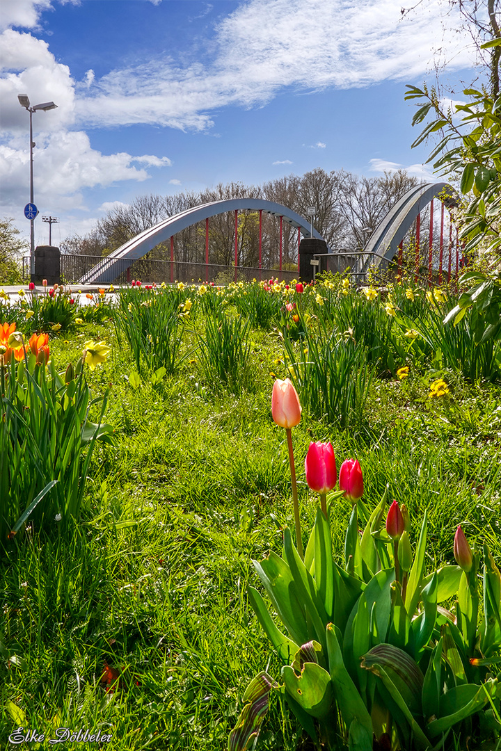 Brücke in Irlich im Frühling