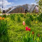 Brücke in Irlich im Frühling