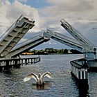 Brücke in Kappeln