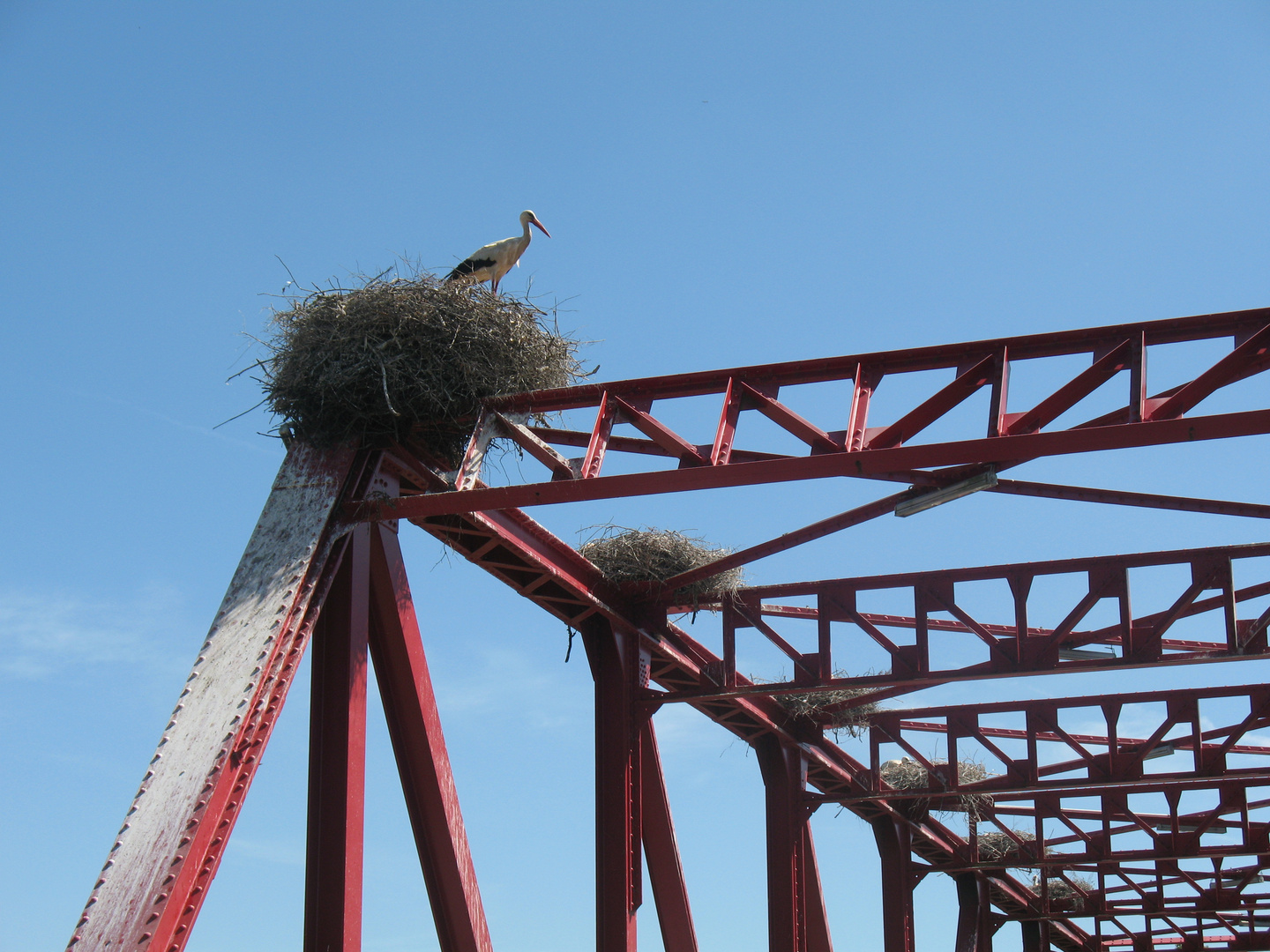 Brucke In Mittelportugal Von Storchen Besetzt Foto Bild Europe Portugal Tiere Bilder Auf Fotocommunity