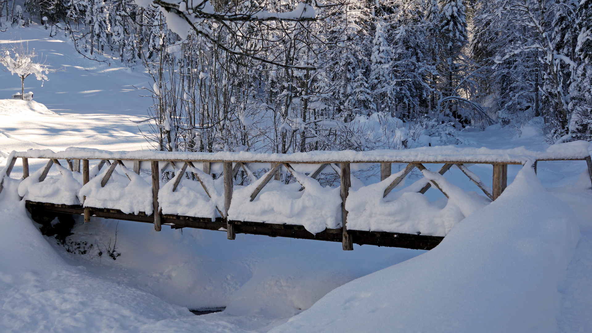 Brücke in Oberiberg SZ