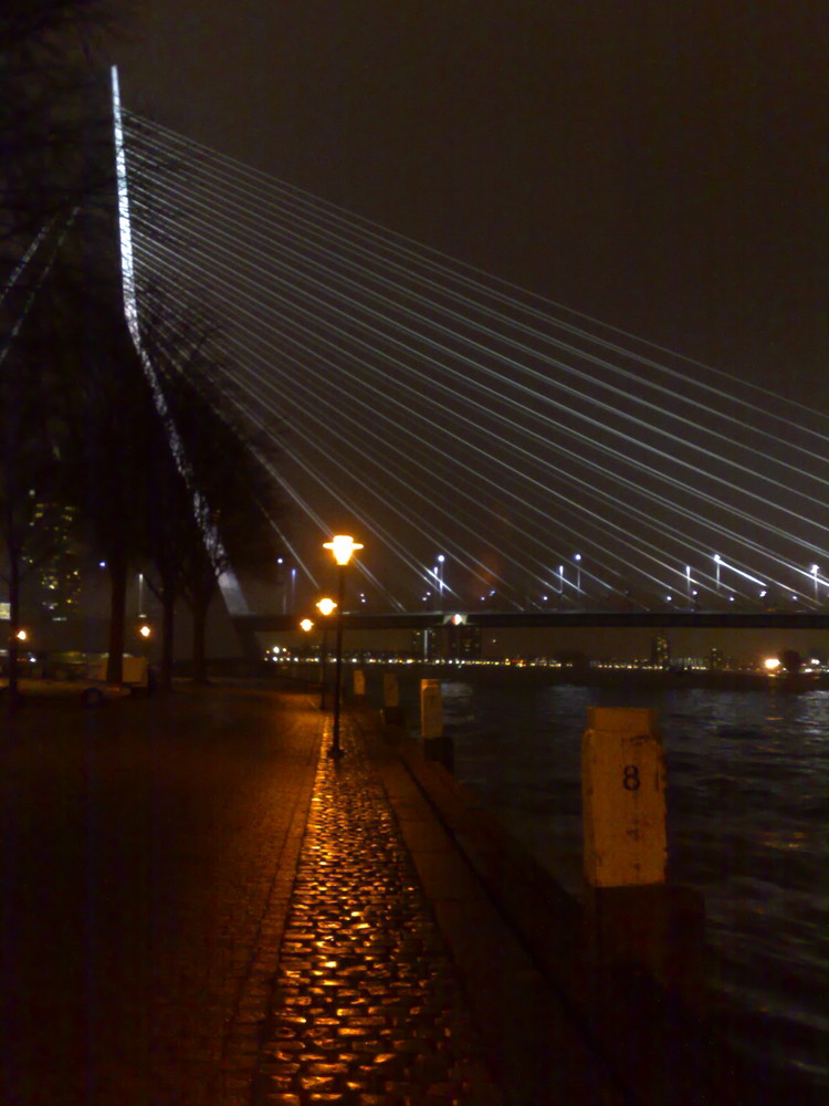 Brücke in Rotterdam