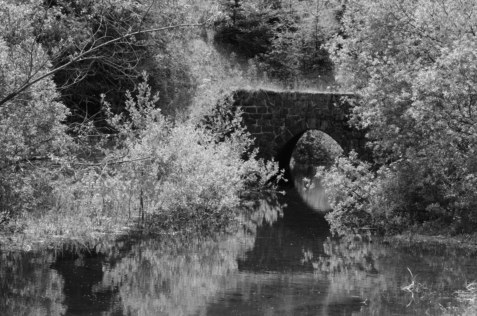 Brücke in Schwarz Weiß