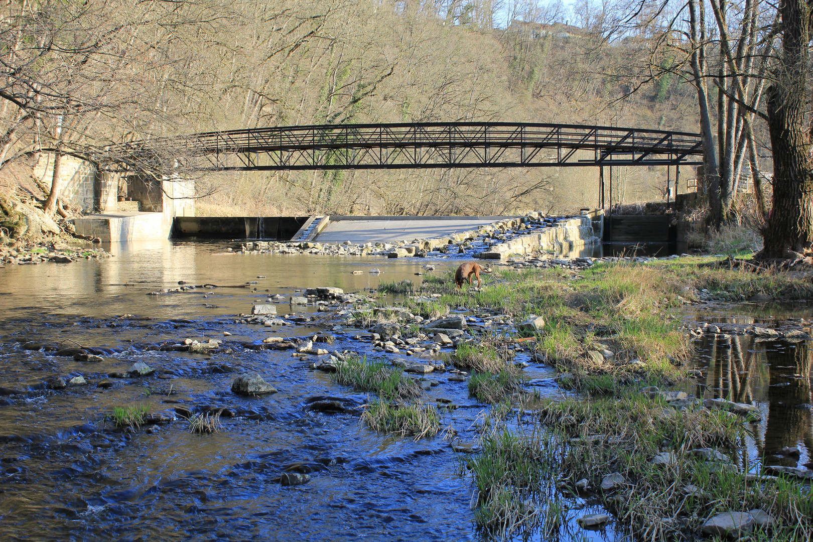 Brücke in Wilhelmglück