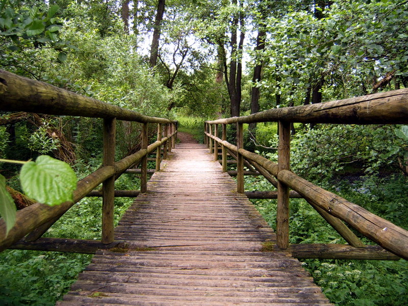 Brücke ins Glück