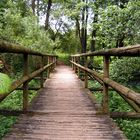 Brücke ins Glück