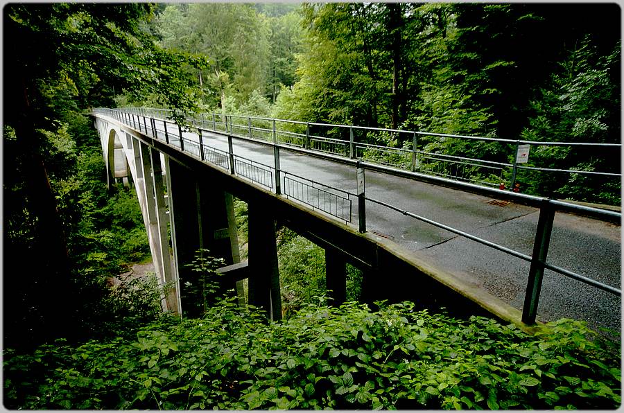 Brücke ins Grün