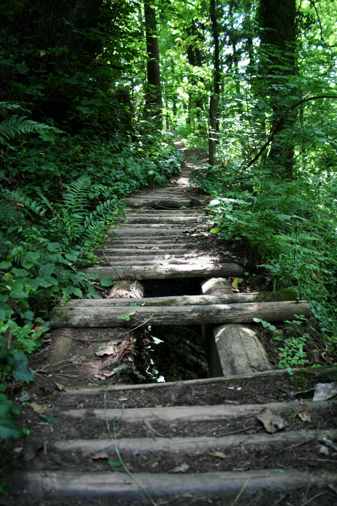 Brücke in's Grüne