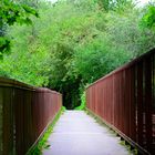 Brücke ins Grüne