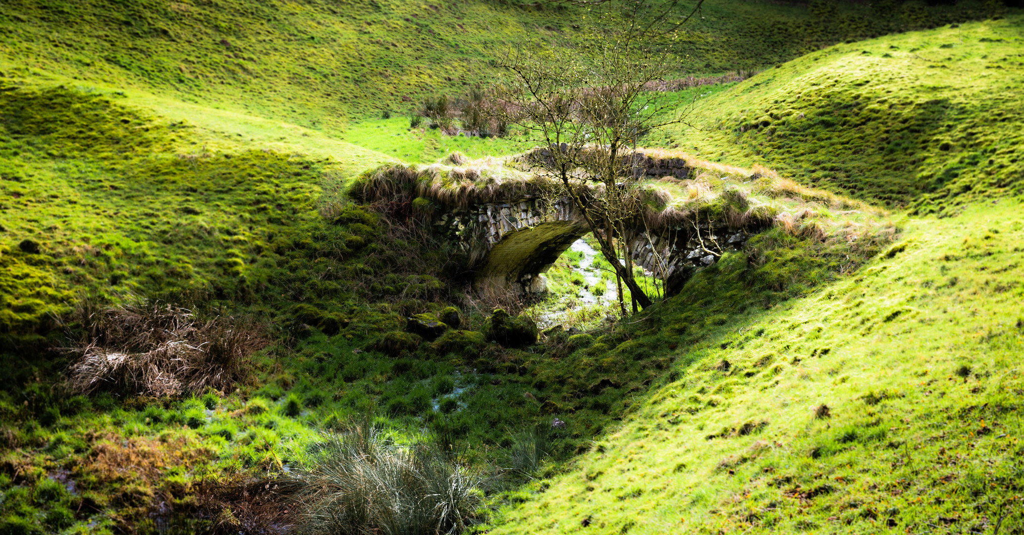 Brücke ins Hobbitland