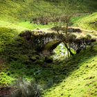 Brücke ins Hobbitland