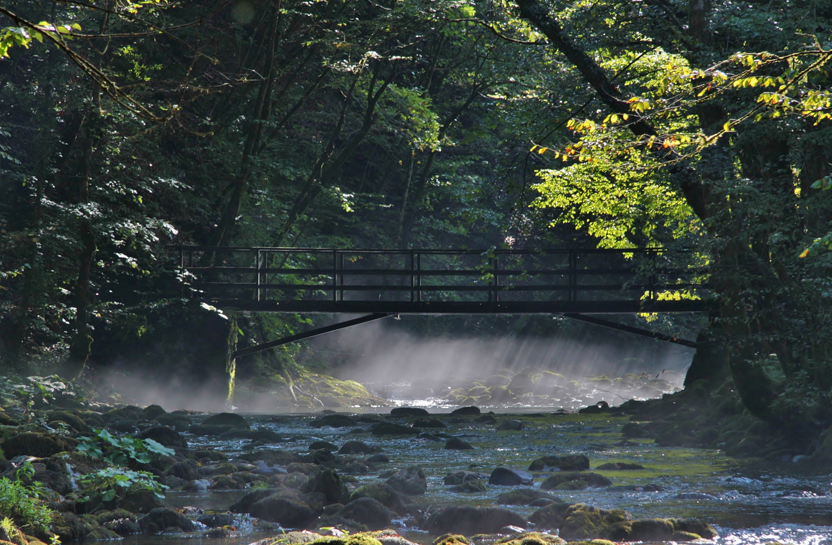 Brücke ins Licht