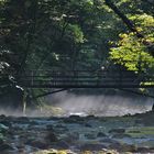 Brücke ins Licht