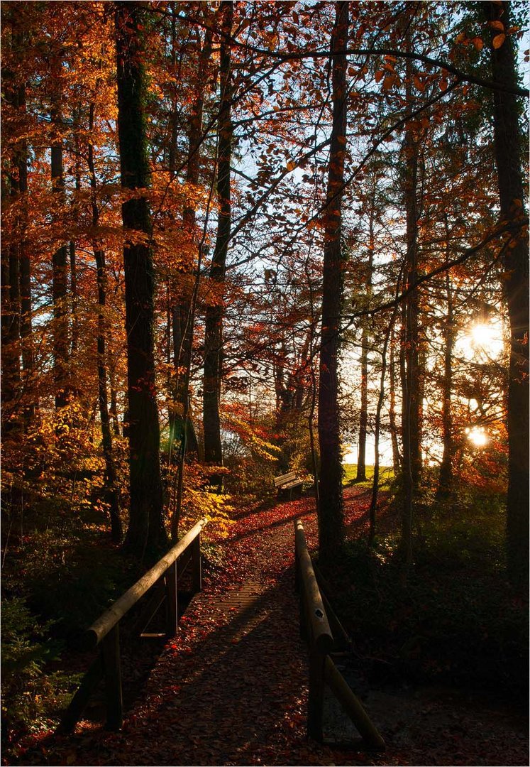 Brücke ins Licht