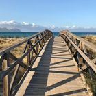 Brücke ins Meer