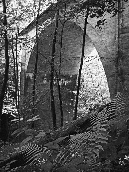 Brücke ins Nichts