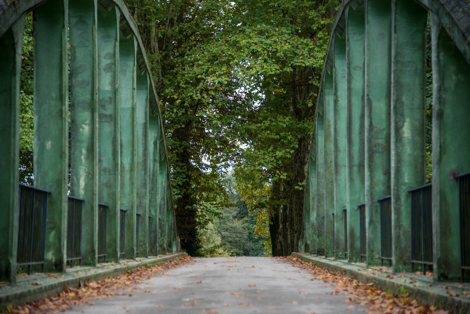 Brücke ins Nirgendwo