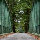 Brücke ins Nirgendwo