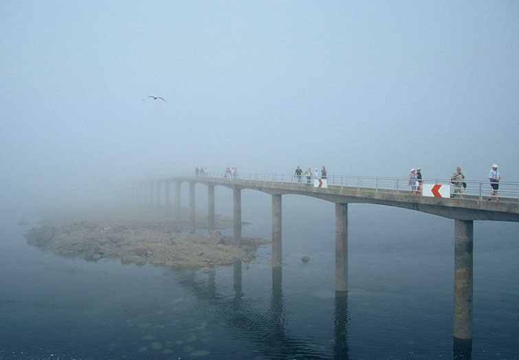 Brücke ins Nirgendwo