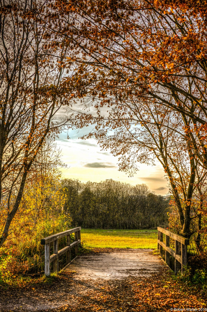 Brücke ins Traumland