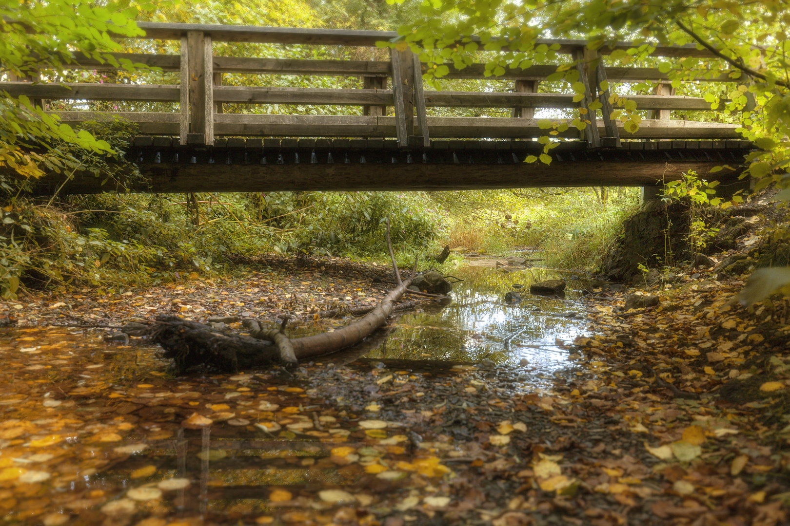 Brücke Luiesenhütte