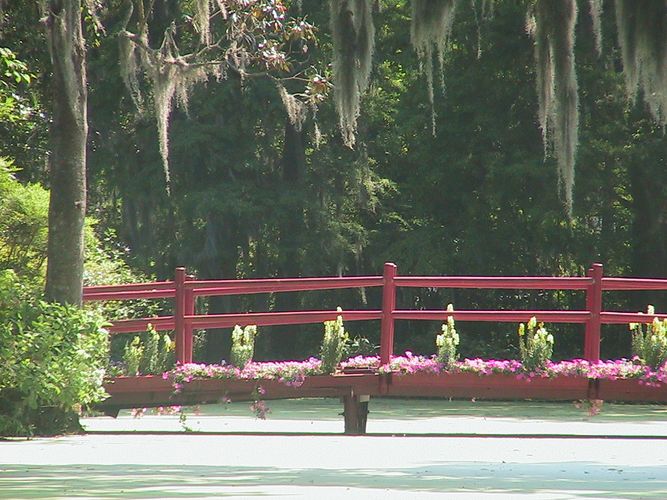 Brücke Magnolia Plantation Charleston SC