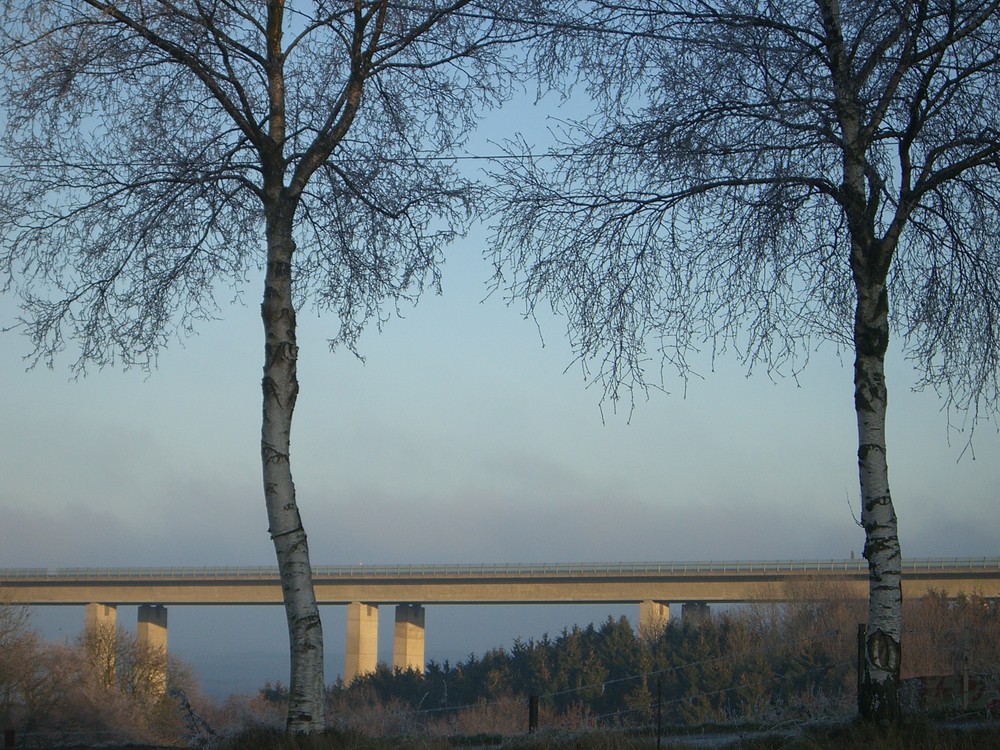 Brücke mit Birken