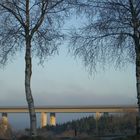 Brücke mit Birken