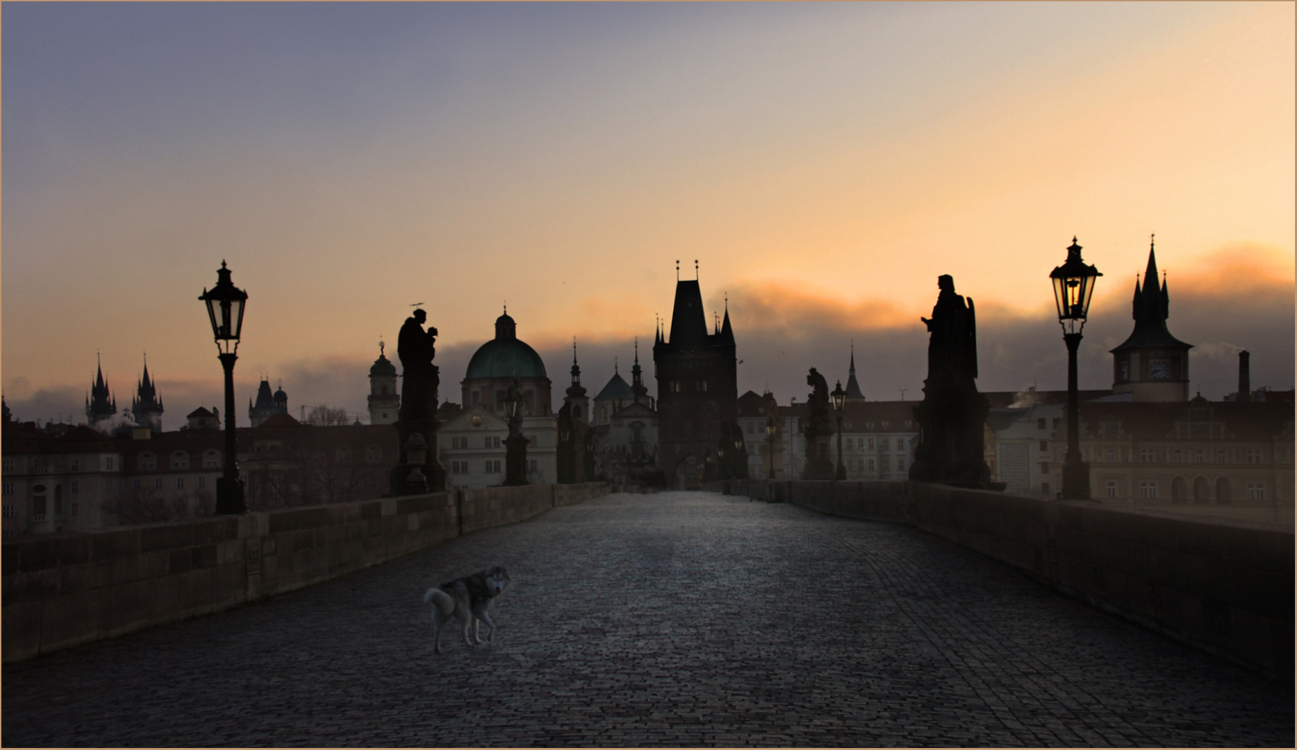 Brücke mit Hund 