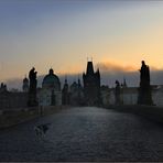 Brücke mit Hund II