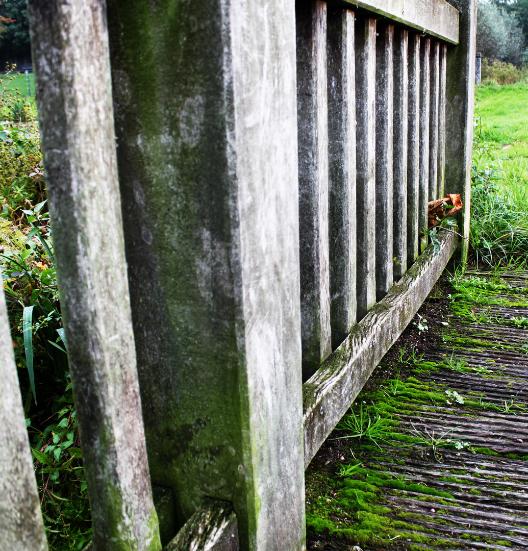 Brücke mit Moos