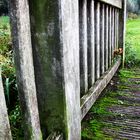 Brücke mit Moos