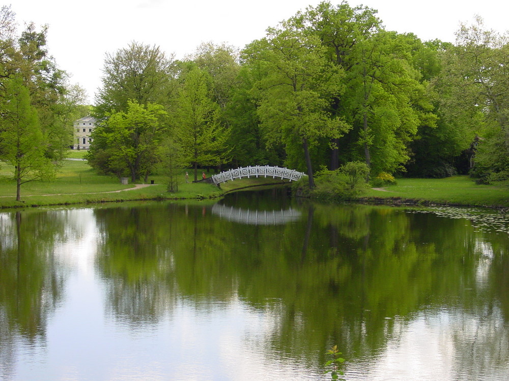 Brücke mit Schwung