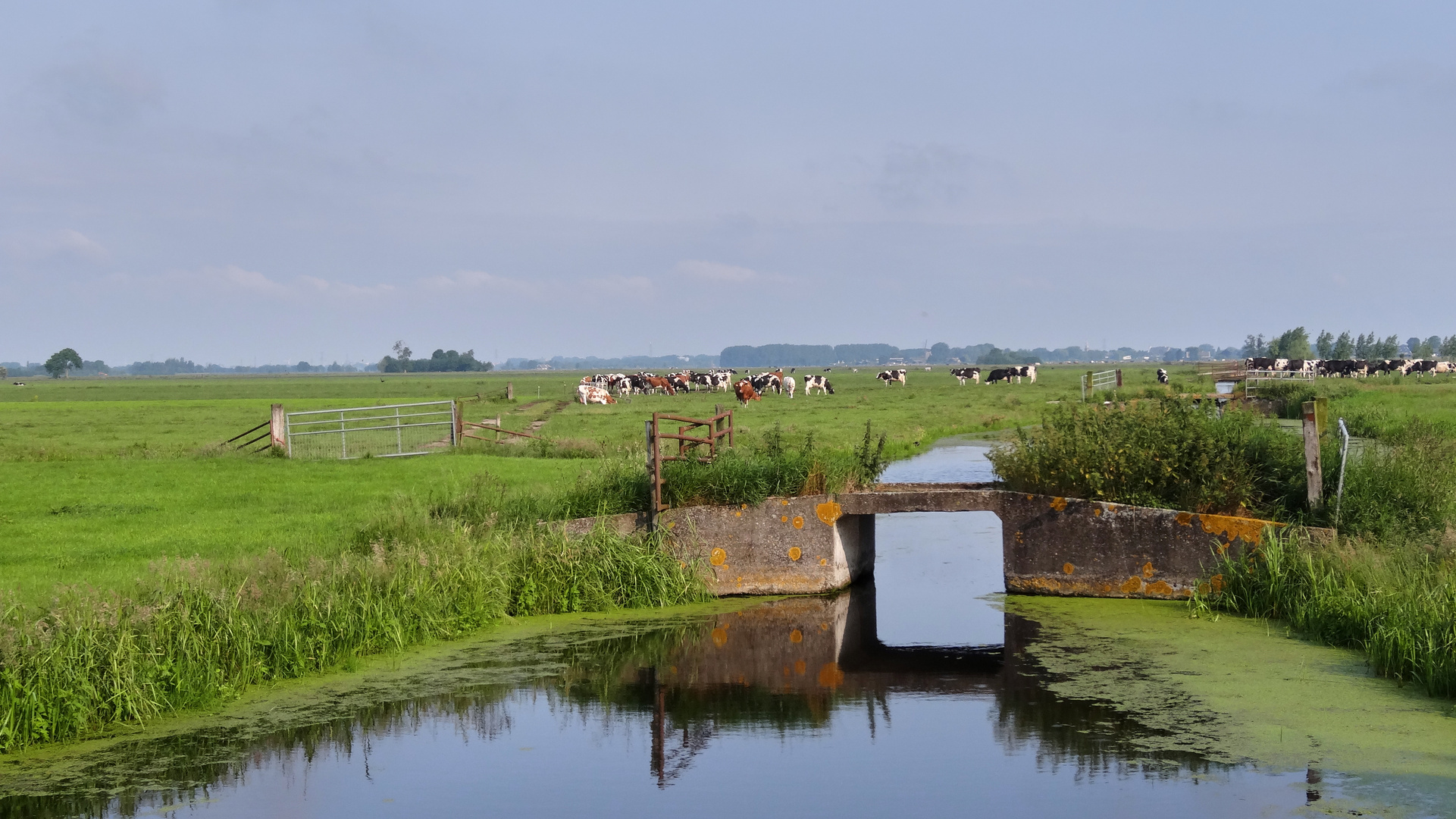 Brücke mit Spiegelung