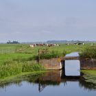 Brücke mit Spiegelung