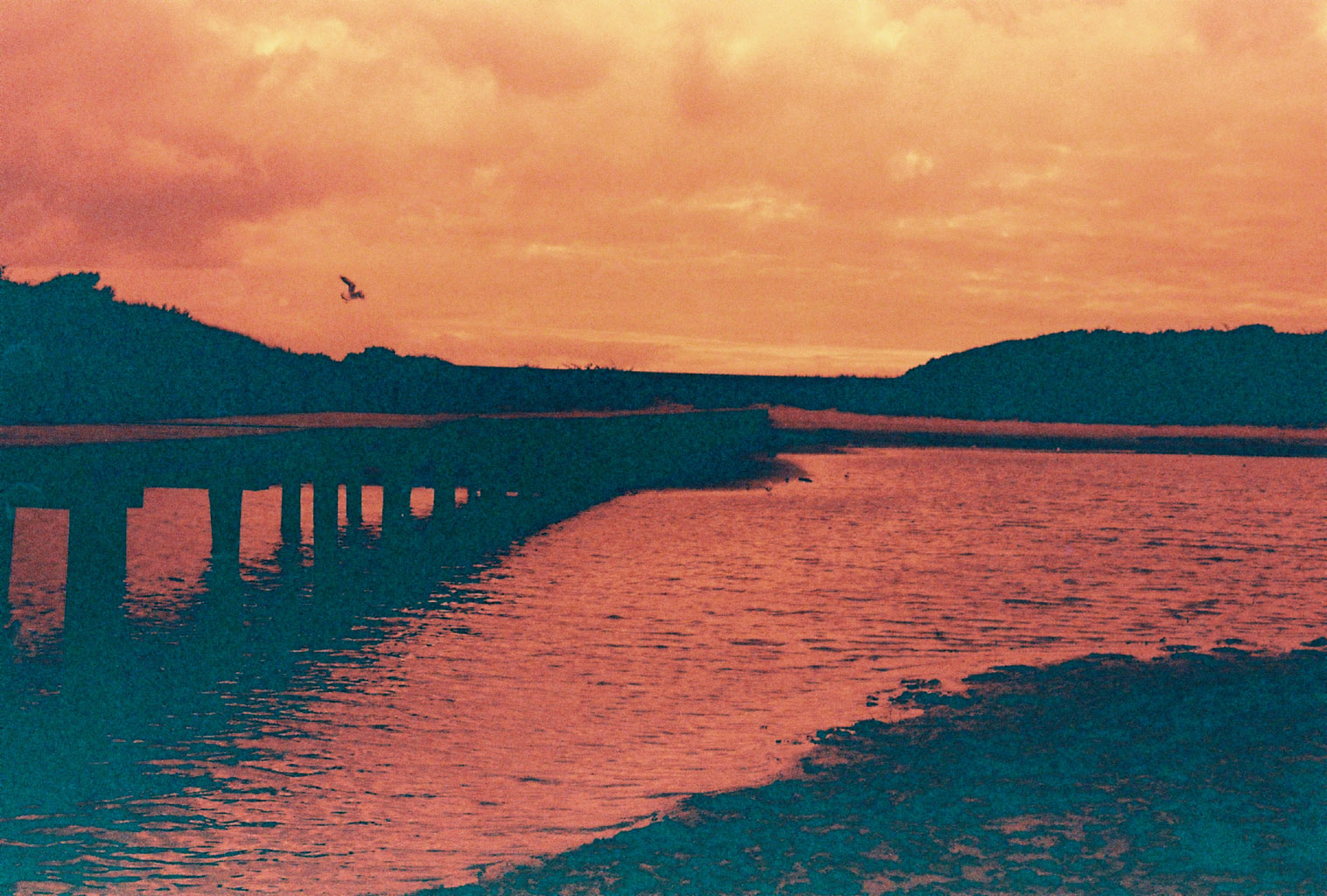 Brücke mit Vogel