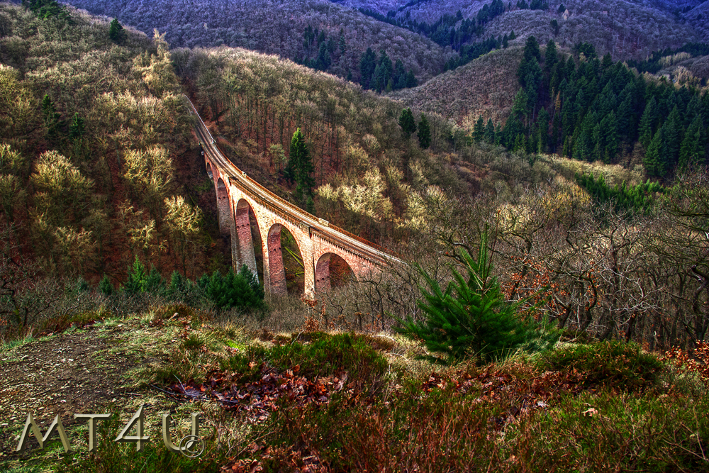 Brücke MT4U