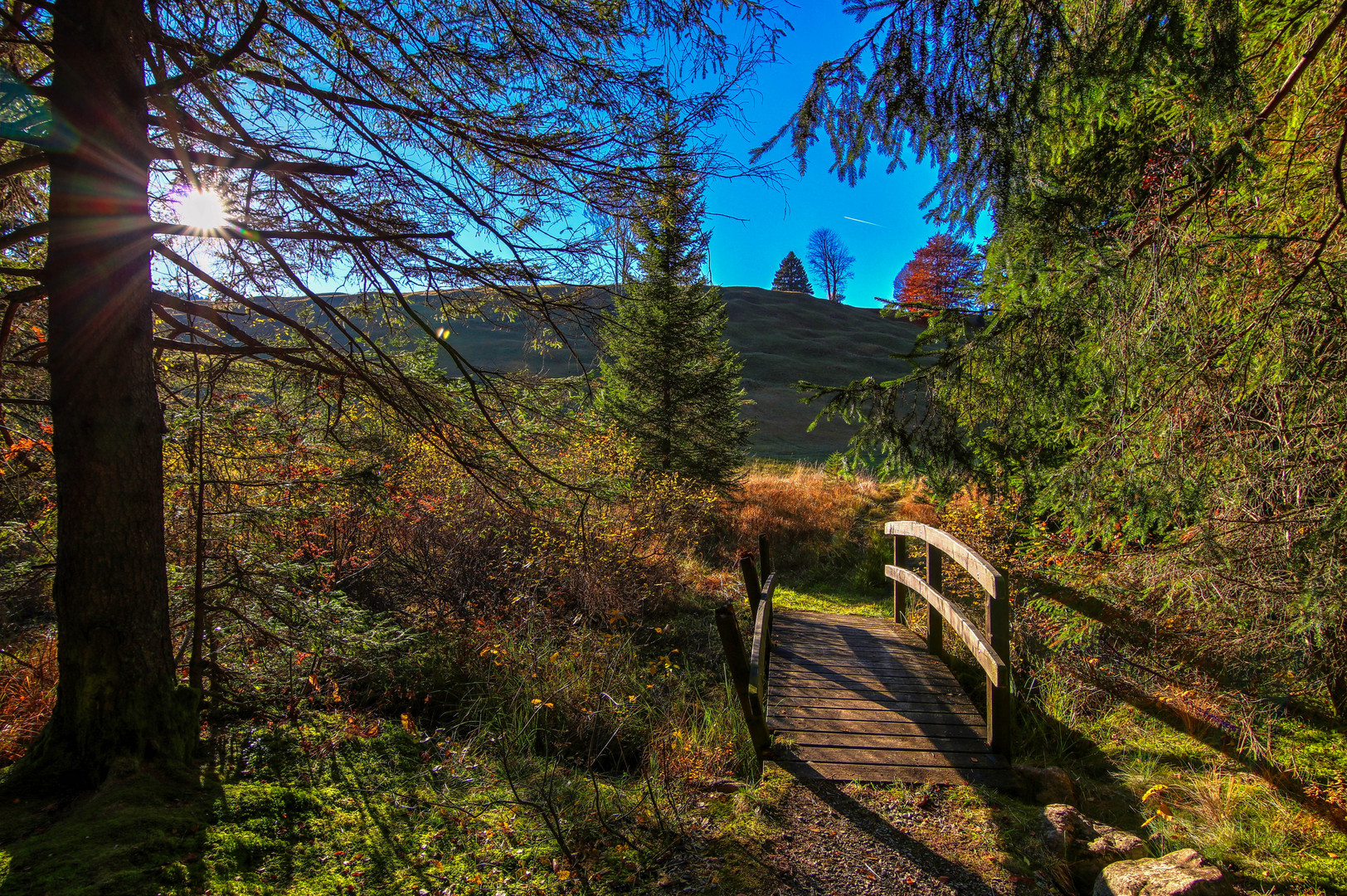 Brücke nach Draußen