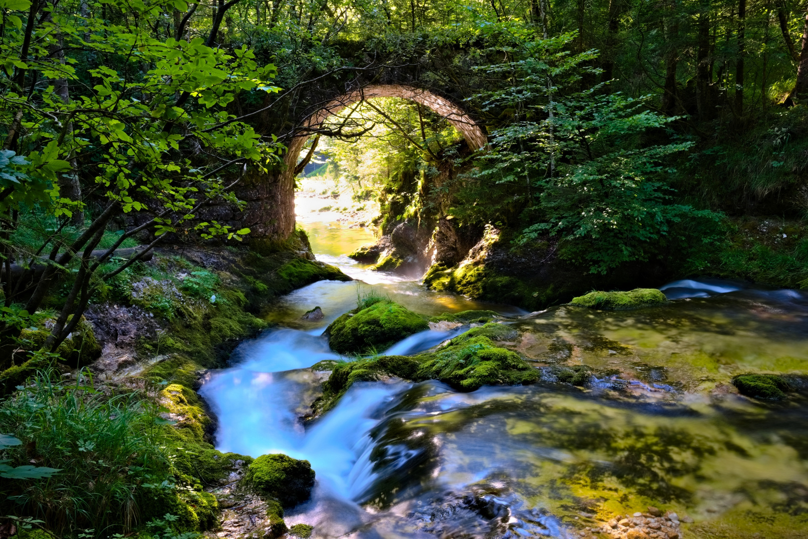 Brücke nach Terabithia