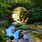 Brücke nach Terabithia