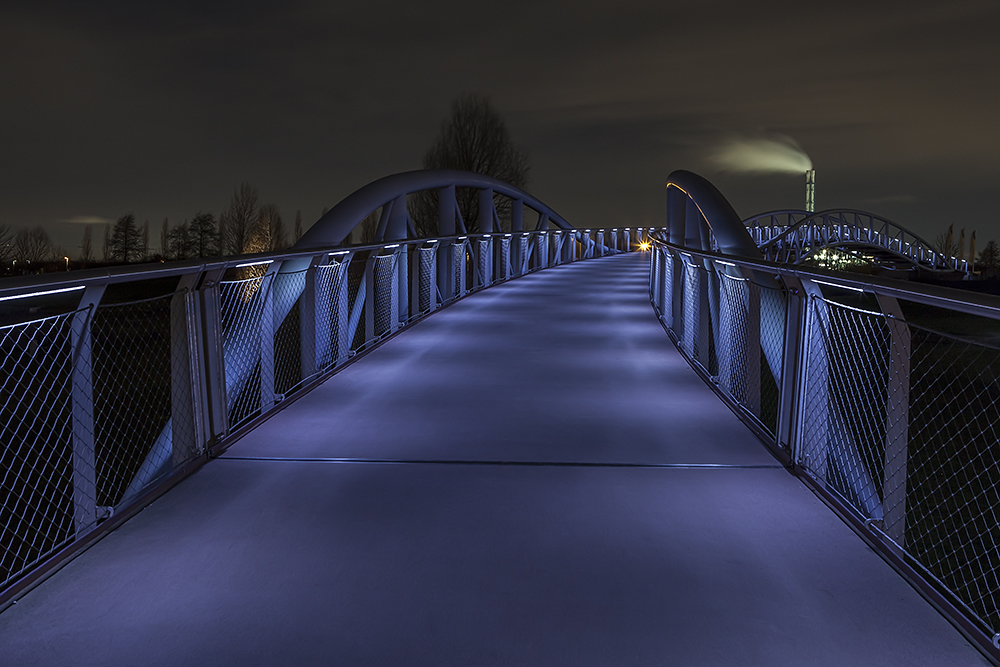 Brücke Neulandpark