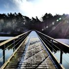 Brücke Reindersmeer