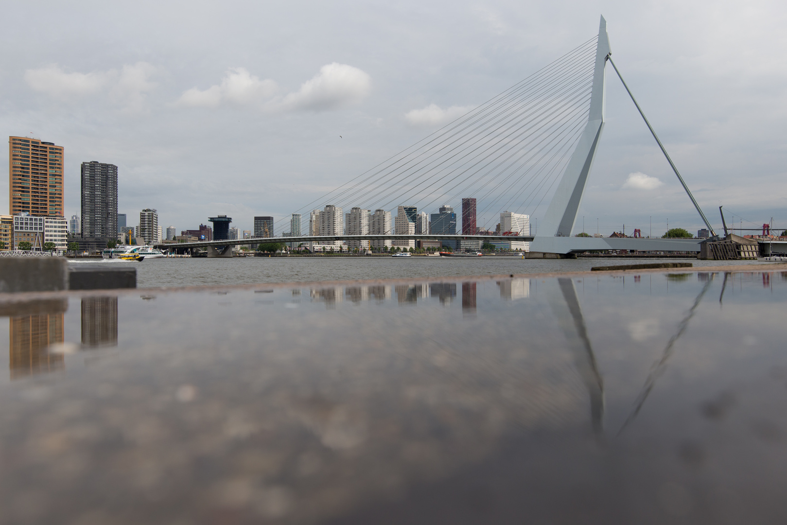 Brücke Rotterdam_gesp