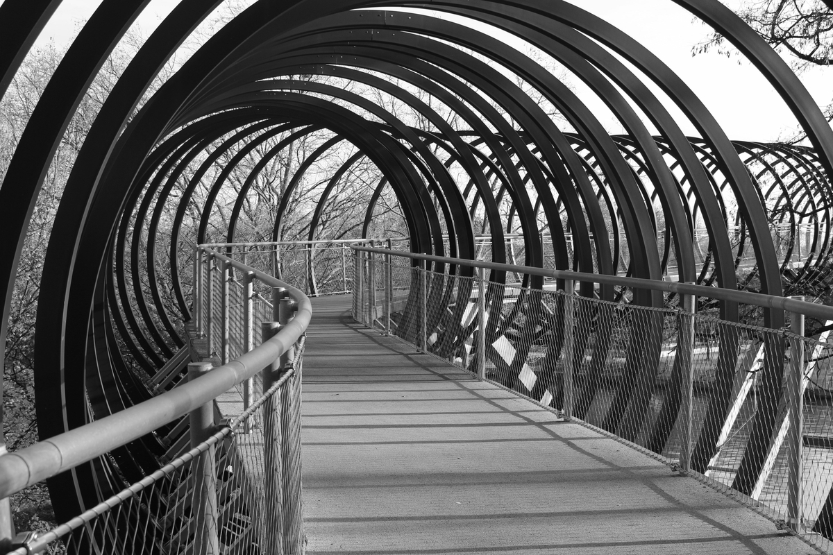 Brücke Slinky Springs to Fame