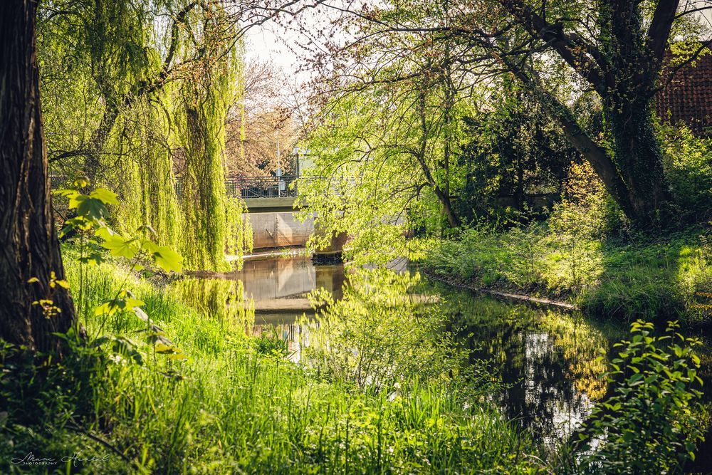 Brücke uber Steinhuder-Meerbach