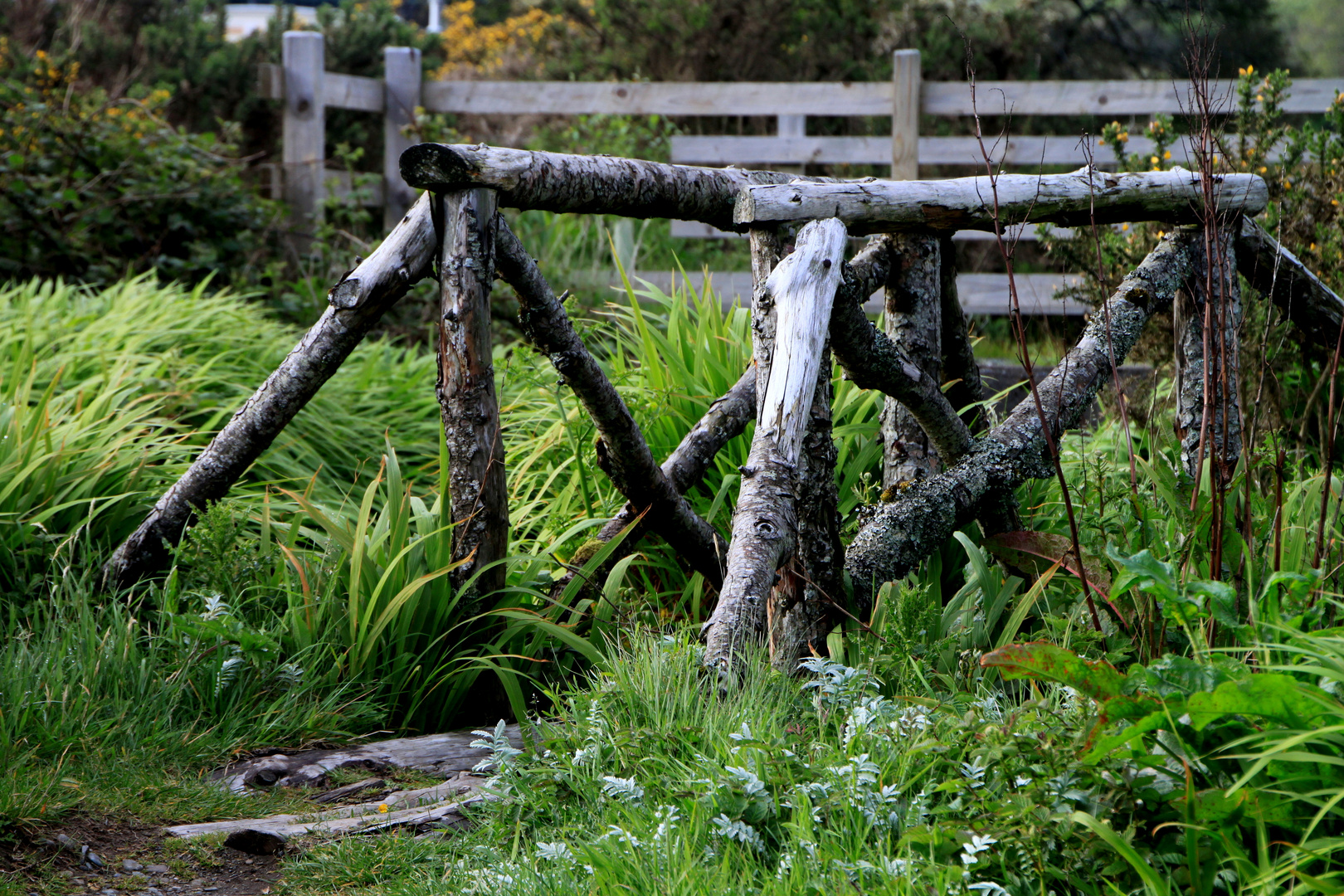 Brücke über Bach auf Skye